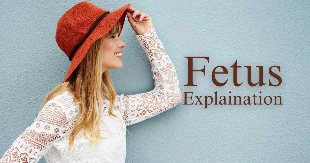 What Does Fetus Mean?